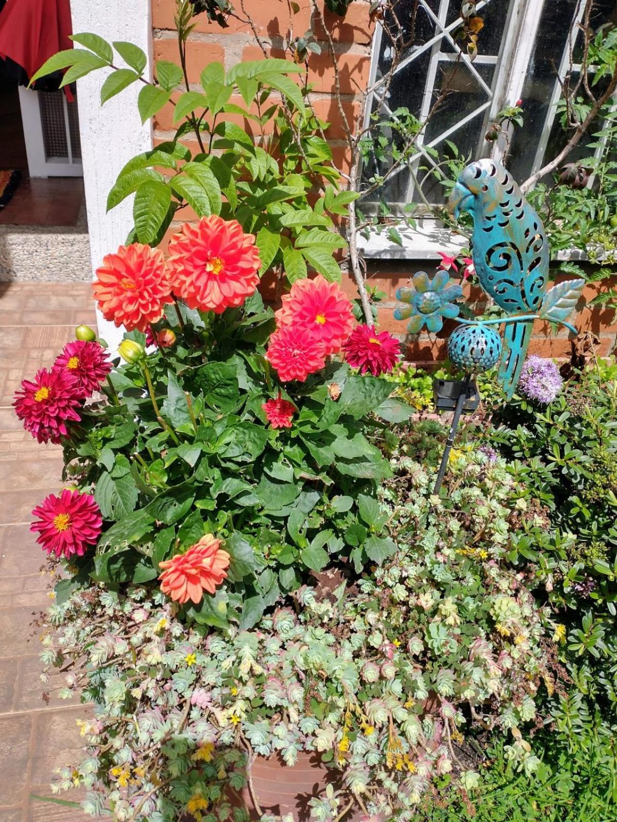 Homestay Casa Cafe & Orquidea - Bogota